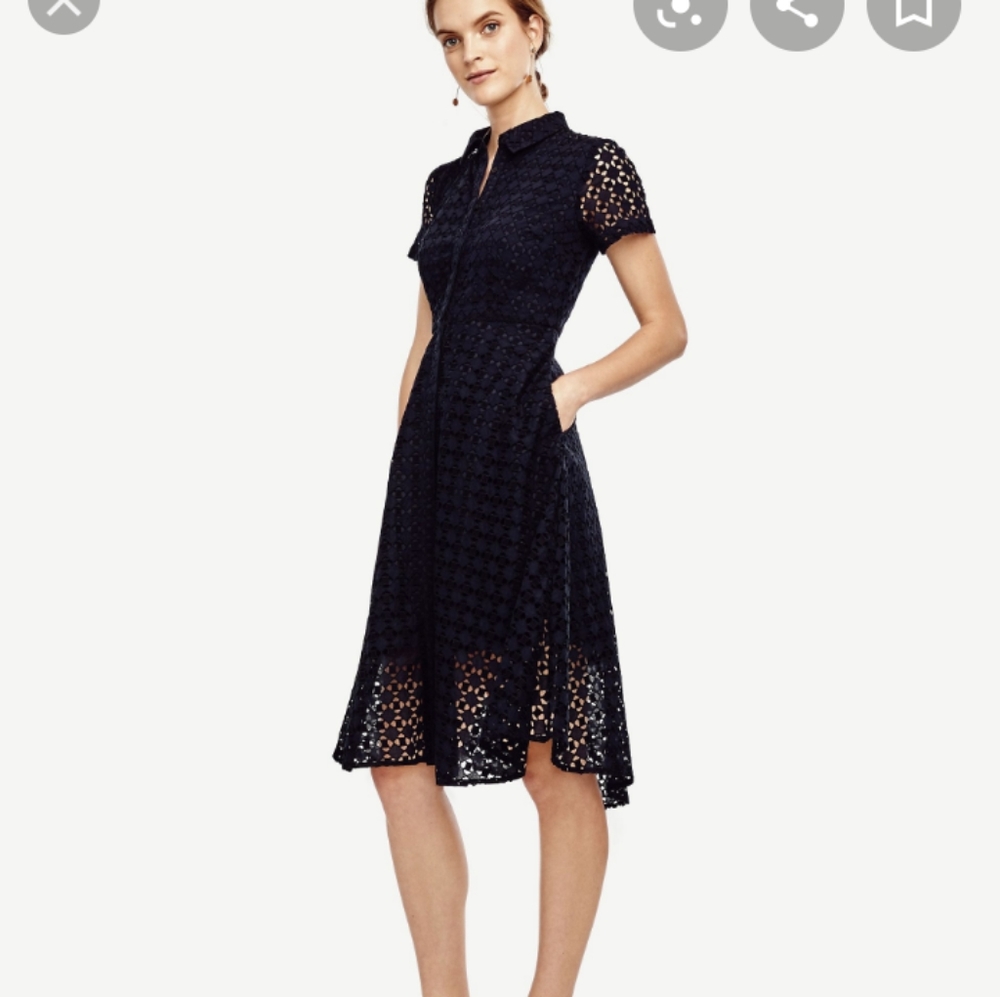 Ann Taylor Navy Eyelet Midi Dress